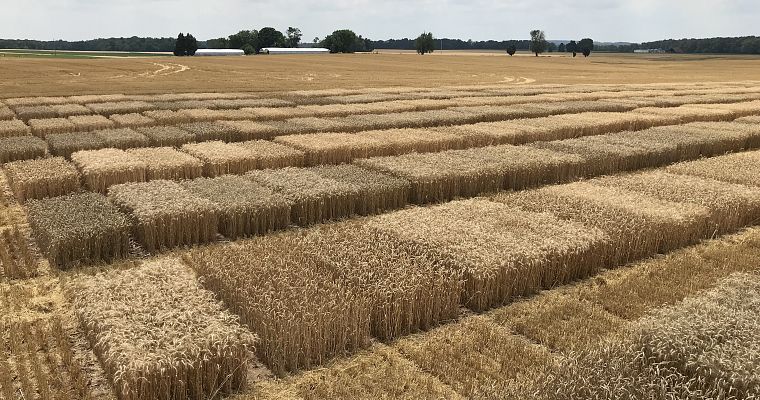 Photo Jun 15, 1 31 58 PM